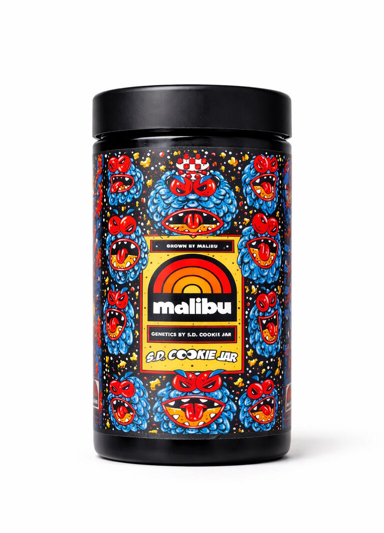 Malibu Bakers Dozen V3